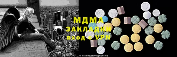 молекула духа Богородицк