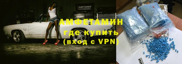 молекула духа Богородицк