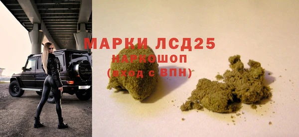 молекула духа Богородицк