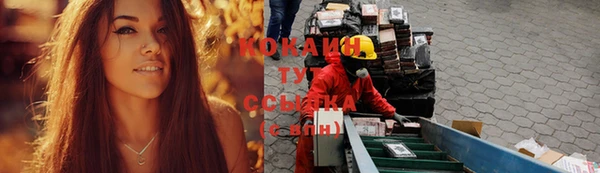 молекула духа Богородицк