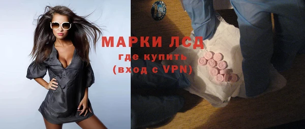 молекула духа Богородицк