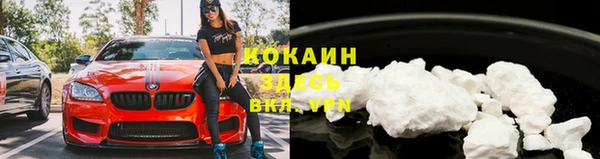 молекула духа Богородицк