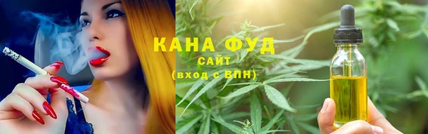 молекула духа Богородицк