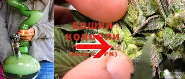 молекула духа Богородицк