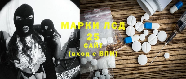 молекула духа Богородицк