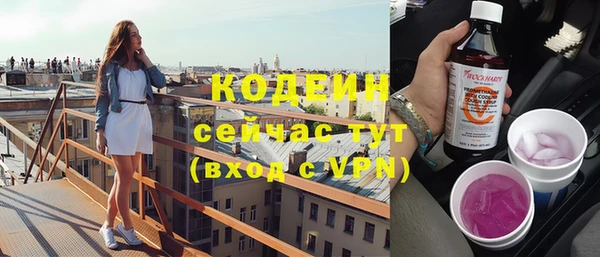 молекула духа Богородицк