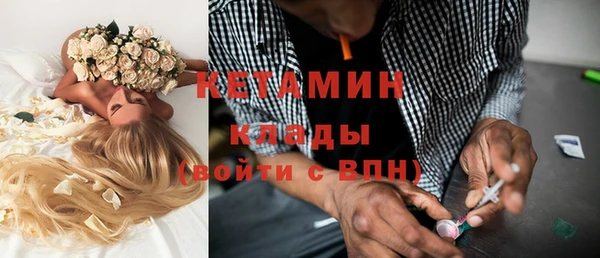 молекула духа Богородицк