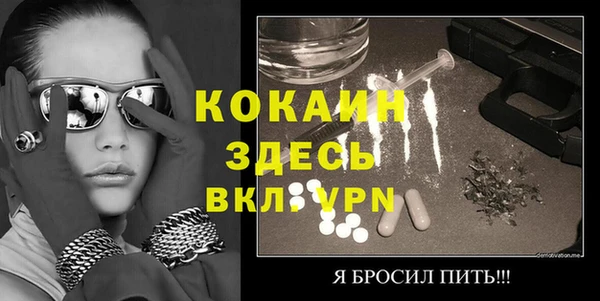 молекула духа Богородицк