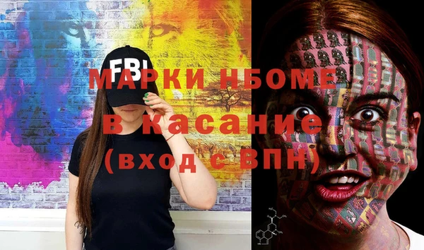 молекула духа Богородицк